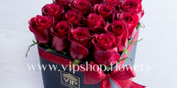 گل رز، بهترین هدیه ای که می توانید به عزیزانتان تقدیم کنید.