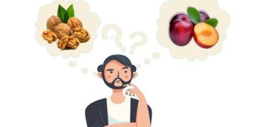 احداث باغ دو منظوره آلو با گردو امکان پذیر است؟