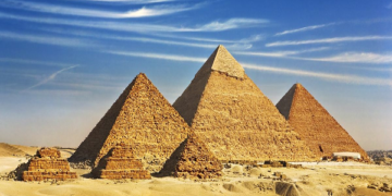 دانستنی های عجیب ولی واقعی