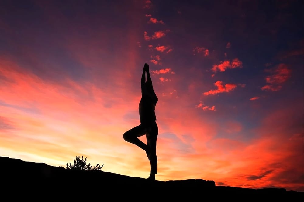 چرا یوگا واجب است