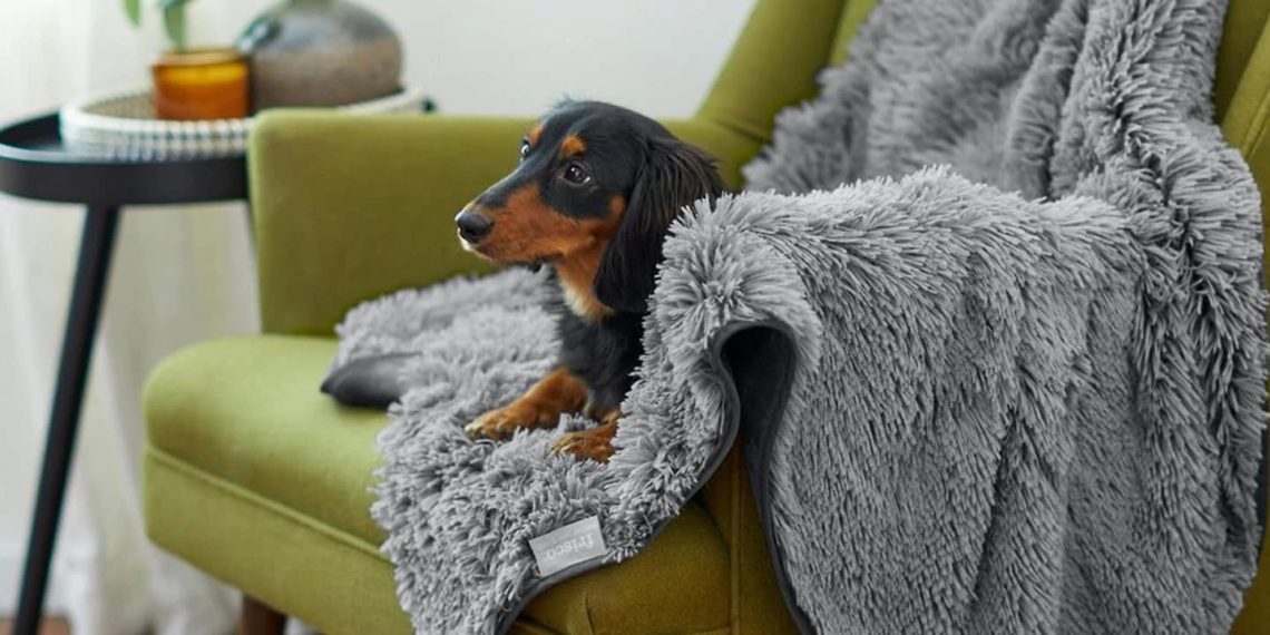 پتو برای سگ: راحتی و آرامش برای دوست چهارپای شما