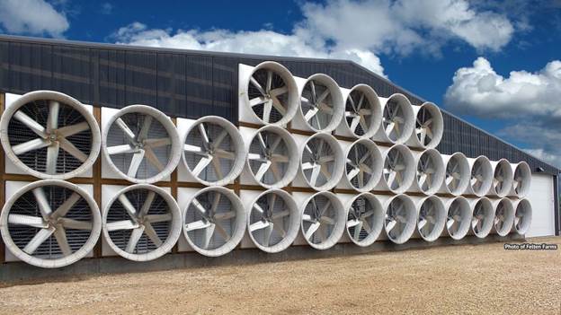 راهنمای خرید هواکش مرغداری