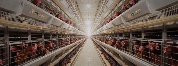 خرید هواکش مرغداری