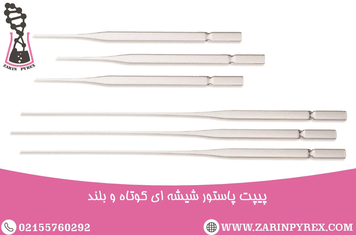 پیپت پاستور