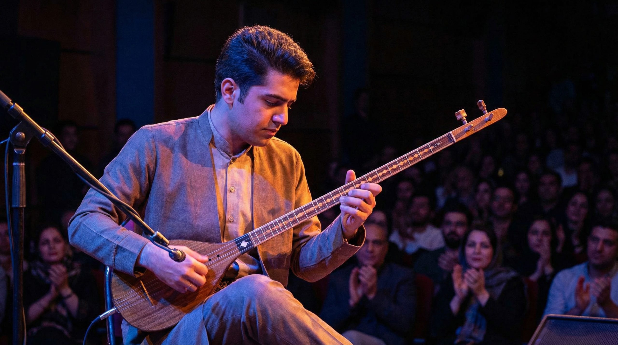 قیمت سه تار حرفه ای