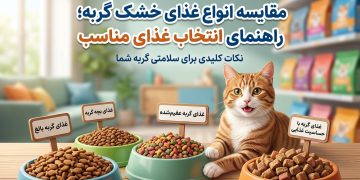  مقایسه انواع غذای خشک گربه؛ راهنمای انتخاب غذای مناسب